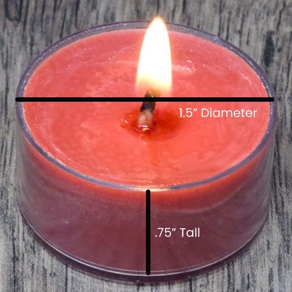 Candeo Candle Woodsy Winter Tealights 12 Pack Soy Beeswax Blend – Winter Lodge, Fraser Fir, O Christmas Tree, Clove & Holiday Home – Cozy Cabin Holiday Candles Handmade USA (Fraser Fir)