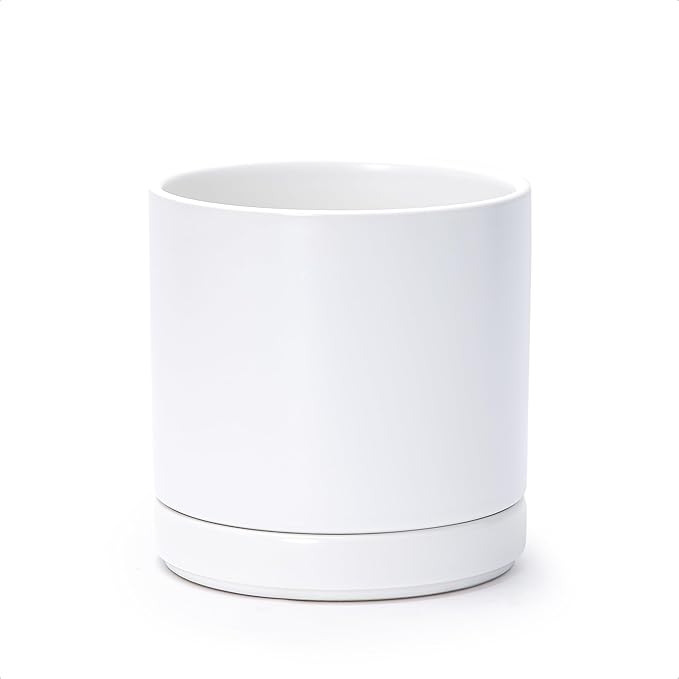 D'vine Dev 6.5 Inch Ceramic Planter Pot with Drainage Hole and Saucer, Indoor Cylinder Round Flower Pot, White, 94-O-C-1