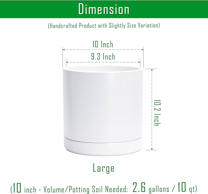 D'vine Dev Set of 2 Plants Pots, 10 Inch Ceramic Planter Pot for Plants with Drainage Hole and Saucer, White, 94-V-E-1