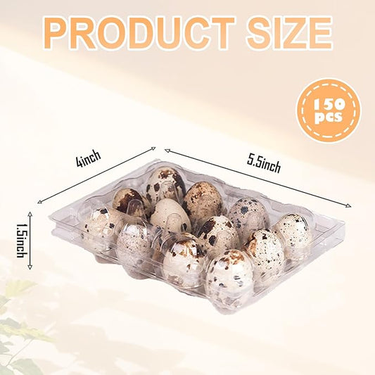 150 Pack Clear Quail Egg Carton,12 Grids Plastic Egg Cartons Bulk,Small Plastic Quail Egg Storage Holder with Lid,Stackable Quail Eggs Carton Trays for Storing Eggs of Quail, Pigeon
