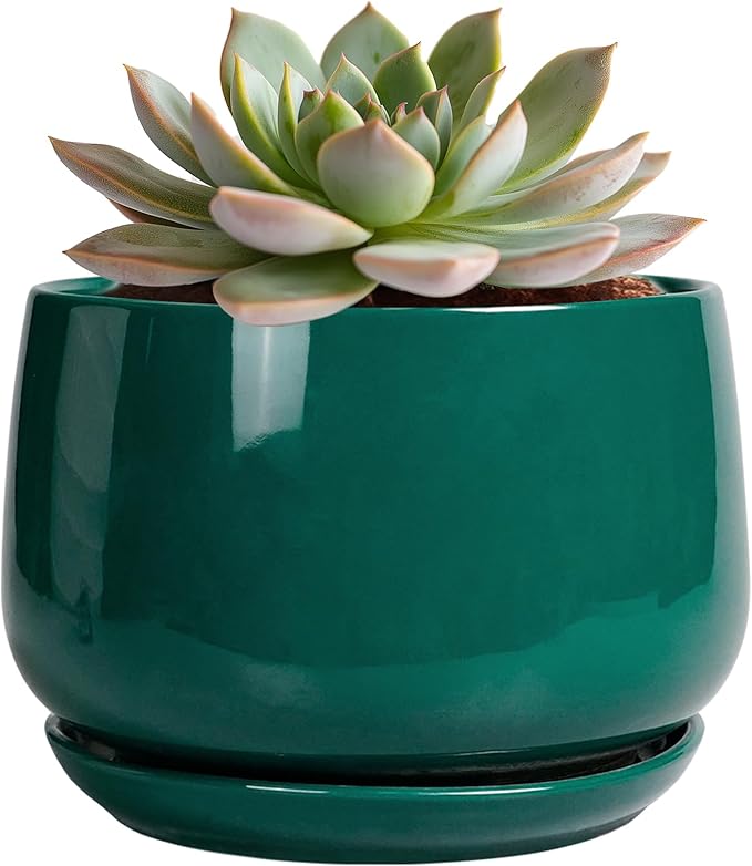 G EPGardening 6 Inch Plant Pot - Ceramic Planter for Indoor Plants, Round Planter with Drainage and Ceramic Tray, Flower Pots for Outdoor, Modern House Decor, Gift for Men Women, Green
