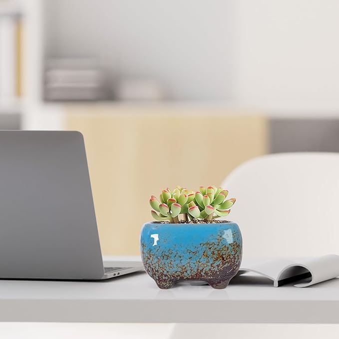 ARTKETTY Succulent Pots - Small Succulent Plant Pot with Drainage Set of 6, Ceramic Cactus Planter Pots for Indoor Unique Flower Planter Container for Home Office Decor