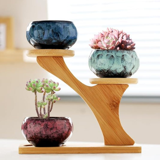 YYW Succulent Pots with Drainage Ceramic Plant Pot Indoor Small Flower Cactus Pots with Tree Tier Bamboo Stand Shallow Planter for Garden Windows Home Office Decor Plant Lovers Gifts