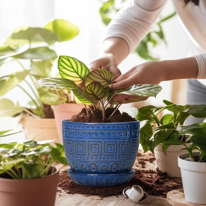 G EPGardening Plant Pots Indoor 5 Inch - Ceramic Pot for Plants with Drainage Hole and Saucer Round Planter Outdoor Modern Flower Pot Home Office Decor Blue