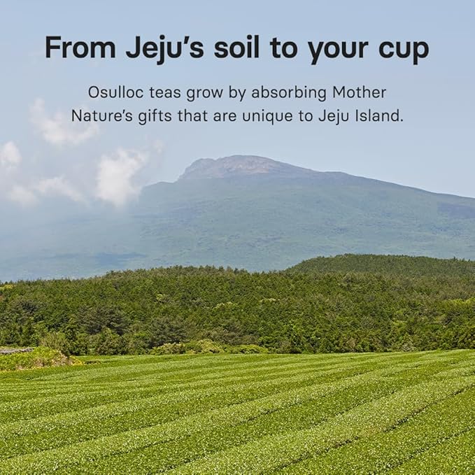 OSULLOC Pure Green Tea (Mild, Clean tasting Aroma), USDA Organic, Premium Blended Tea from Jeju, Tea Bag Series 20 count