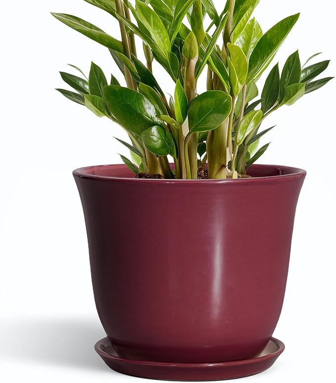 Ceramic Plant Pots - 10 Inch Plant Pot with Drainage Hole and Saucer, Round Planter for Indoor Outdoor, Modern Decorative Large Flower Pots, Home Room Garden Decor, Plants Lovers Gifts, Red