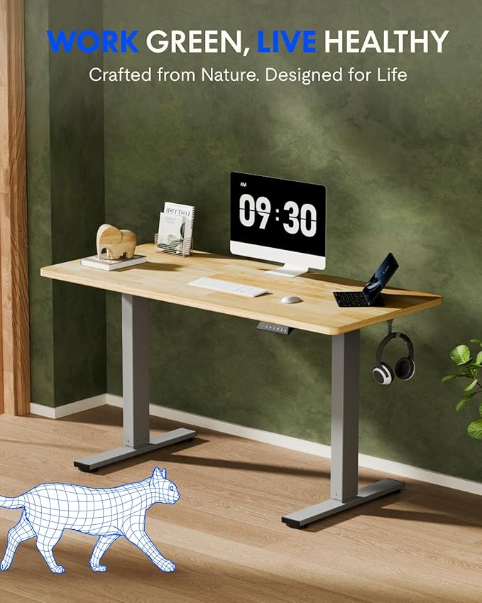 FLEXISPOT EN1 One-Piece Solid Wooden Standing Desk 48 x 24 Inches Height Adjustable Electric Sit Stand Home Office Desks (Silver Frame + Rubber Wood Top, 2 Packages)