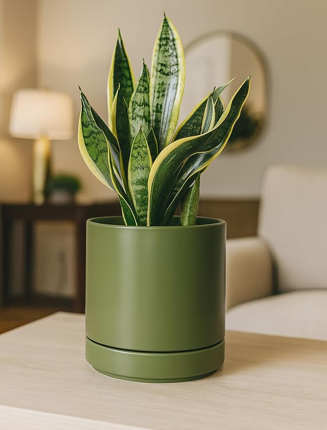 D'vine Dev Set of 2 Plants Pots, 6.5 Inch Ceramic Planter Pot for Plants with Drainage Hole and Saucer, Olive, 94-V-C-J
