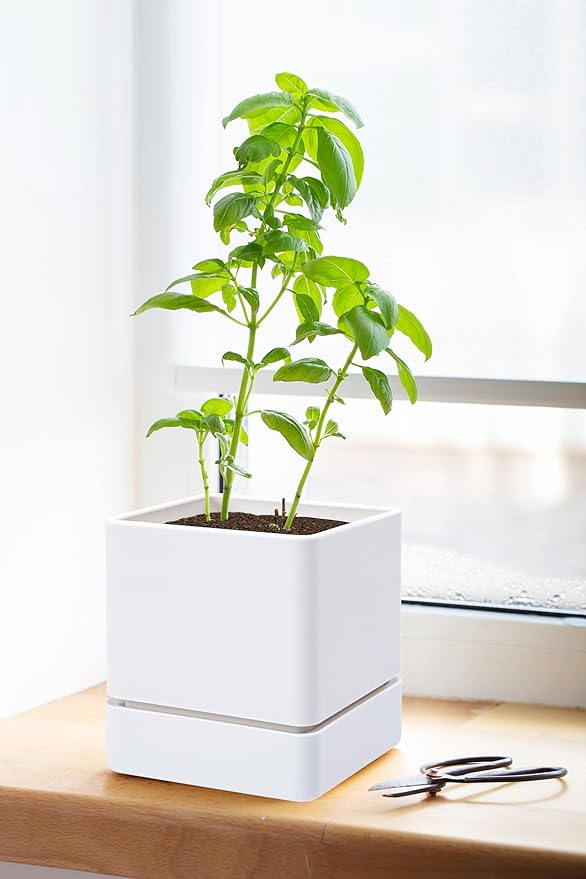D'vine Dev 4 Inch Herb Planter Pot, Plastic Planter with Drainage Holes and Saucer, Modern Decorative Gardening Pot for Indoor Plants, Flowers, Herbs, Succulents, White, Set of 2, 76-Y-A2-1