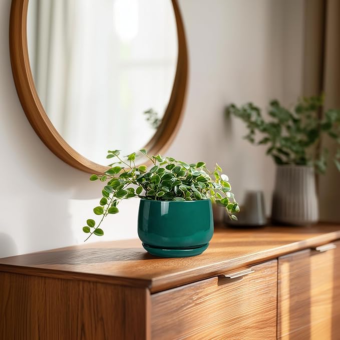 G EPGardening 4 inch Plant Pots - Small Ceramic Planter with Drainage Hole & Tray, Succulent Pots Indoor Outdoor, Round Modern Planter, Decorative Flower Pot, Desk Decor, Gifts for Plant Lover, Green