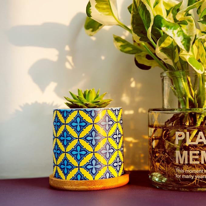 6 Pack Succulent Pots with Drainage Hole, 3 inch Ceramic Succulent Planter with Bamboo Tray, Bright Color Succulent Plant Pots for Cacti Succulent Soil Potting Mix Indoor/Outdoor