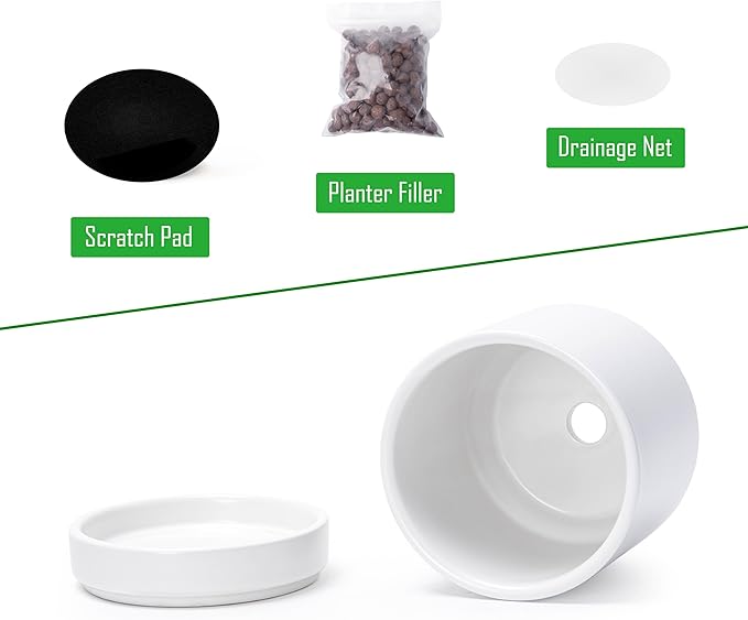 D'vine Dev Set of 4 Small Ceramic Plant Pots, 4.7 Inch Succulent Planter Pot for Plants with Drainage Hole and Saucer, White, 94-X-B-1