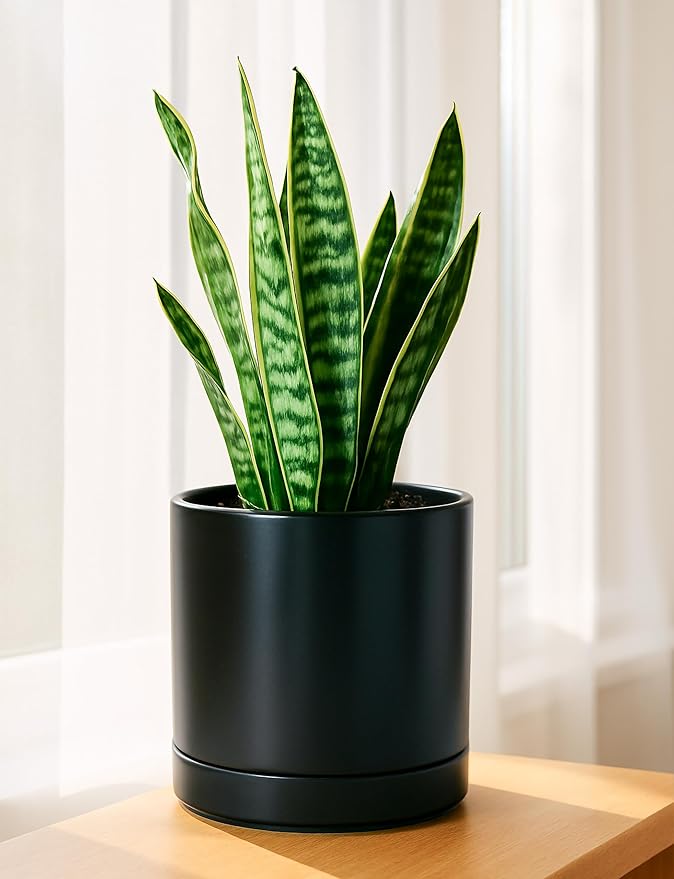 D'vine Dev 8.2 Inch Ceramic Planter Pot with Drainage Hole and Saucer, Indoor Cylinder Round Planter Pot, Black, 94-O-D-2