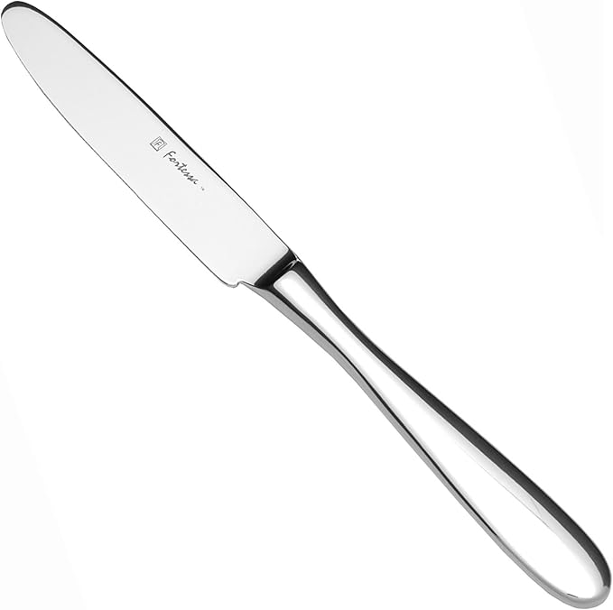 Fortessa Grand City 18/10 Stainless Steel Flatware Solid Handle Table Knife, Set of 12