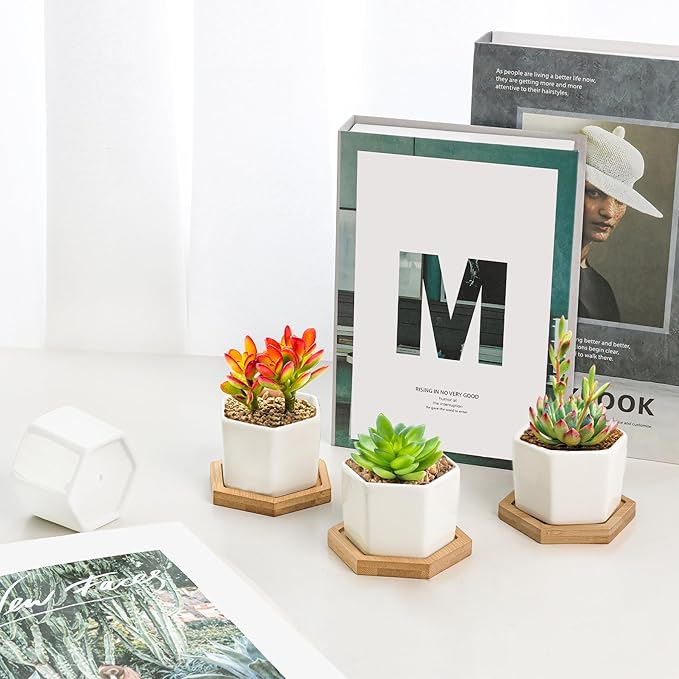 T4U Small White Succulent Planter Pots with Bamboo Tray Hexagon Set of 2, Geometric Ceramic Cactus Plant Holder, Succulent Plant Gifts for Gardener Women Coworker, Home Office Table Desk Decoration