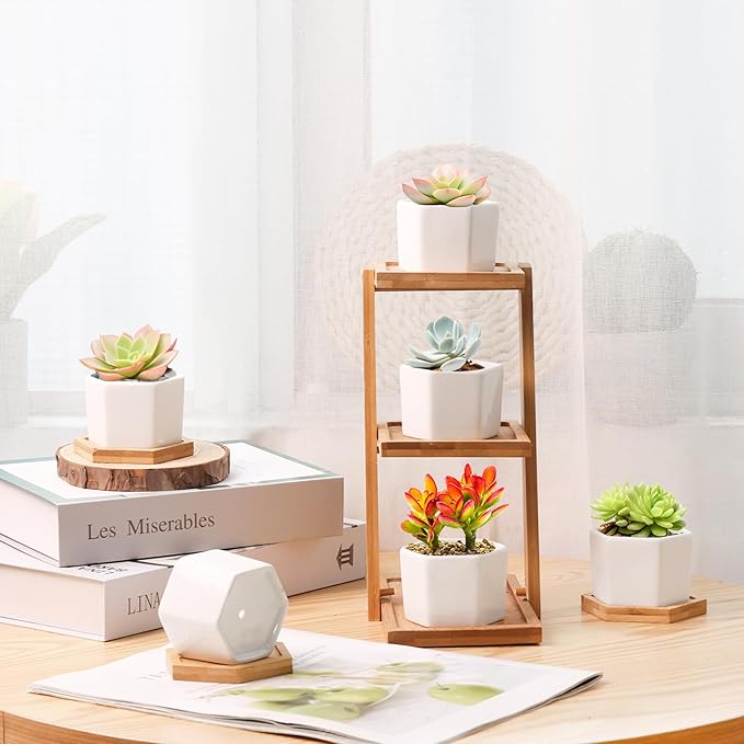 T4U Small White Succulent Planter Pots with Bamboo Tray Hexagon Set of 2, Geometric Ceramic Cactus Plant Holder, Succulent Plant Gifts for Gardener Women Coworker, Home Office Table Desk Decoration