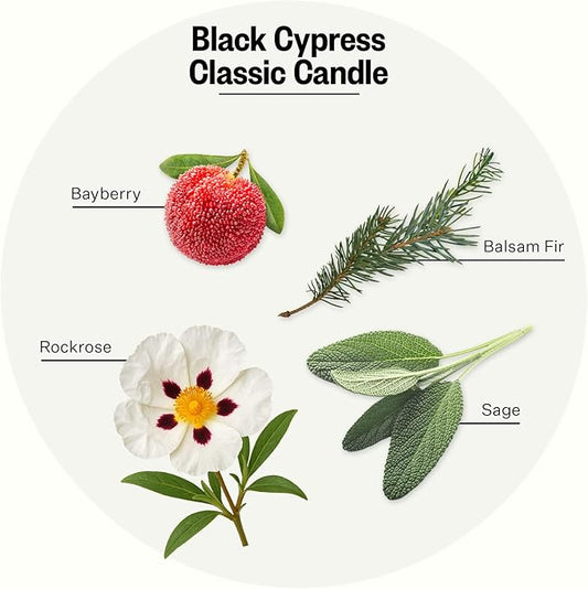 Apotheke Signature Scented Candles for Home, Black Cypress - 10.5 oz - Soy Wax, Non Toxic, Large Jar Gold - Luxury Candle Gifts for Women & Men - Bayberry, Balsam Fir, Rockrose, & Sage