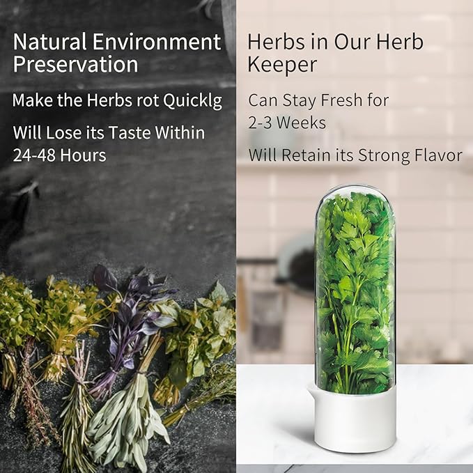 Herb Keeper for Refrigerator, Herb Saver for Refrigerator, Vegetable Preservation Bottle for Cilantro, Mint, Parsley, Asparagus, Keeps Greens Fresh for 2-3 Weeks (1PCS)