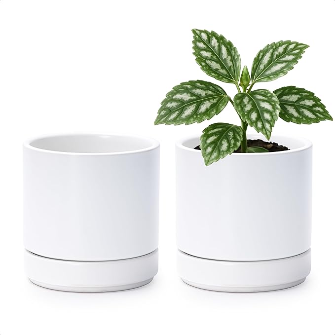 D'vine Dev Set of 2 Plants Pot, 4.7 Inch Ceramic Planter Pot for Plants with Drainage Hole and Saucer, White, 94-V-B-1