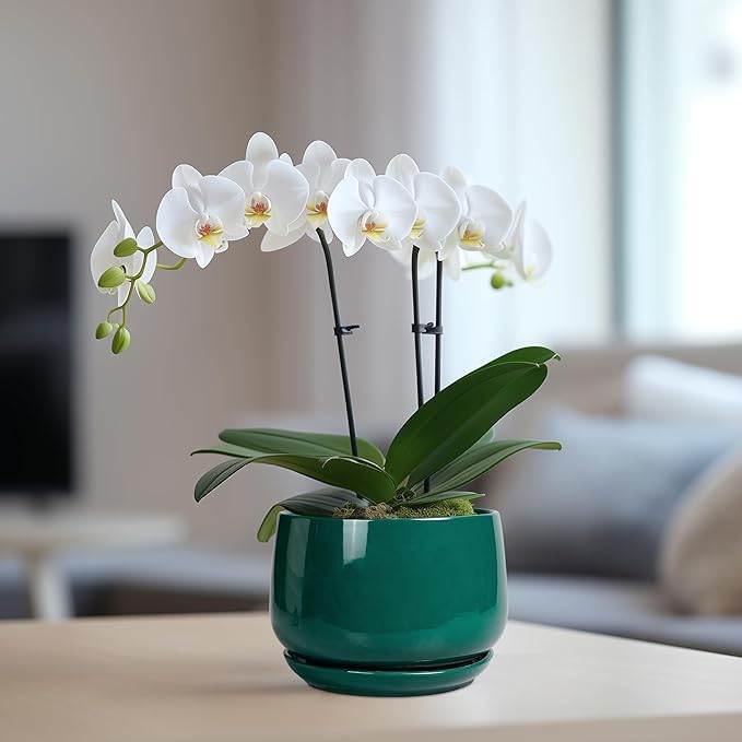 G EPGardening 6 Inch Plant Pot - Ceramic Planter for Indoor Plants, Round Planter with Drainage and Ceramic Tray, Flower Pots for Outdoor, Modern House Decor, Gift for Men Women, Green