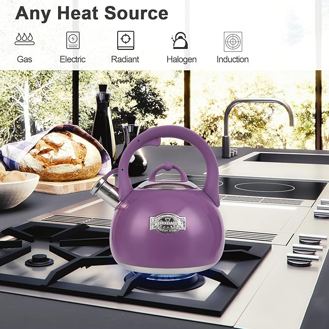 Tea Kettle for Stovetop, Food Grade Stainless Steel Water Kettle, Tea Pot for Home & Kitchen, 3.1 Quart