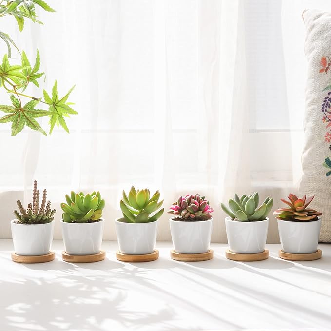 T4U 2.5 Inch Mini White Succulent Planter Pots with Bamboo Tray Round Set of 6, Tiny Ceramic Succulent Air Plant Flower Pots Cactus Faux Plants Containers, Gifts for Plant Lover, Home and Office Decor