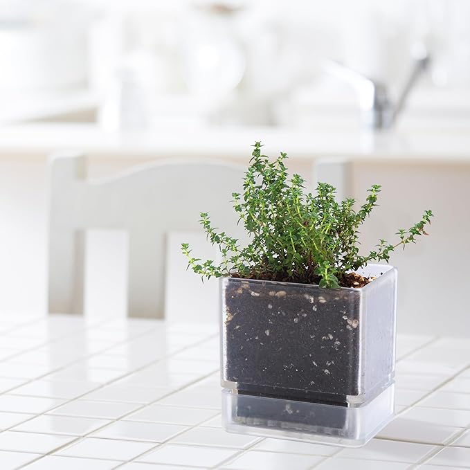 4 Inch Herb Planter Pot, Plastic Planter with Drainage Holes and Saucer, Modern Decorative Gardening Pot for Indoor Plants, Flowers, Herbs, Succulents, Clear, Set of 2, 76-Y-D-2