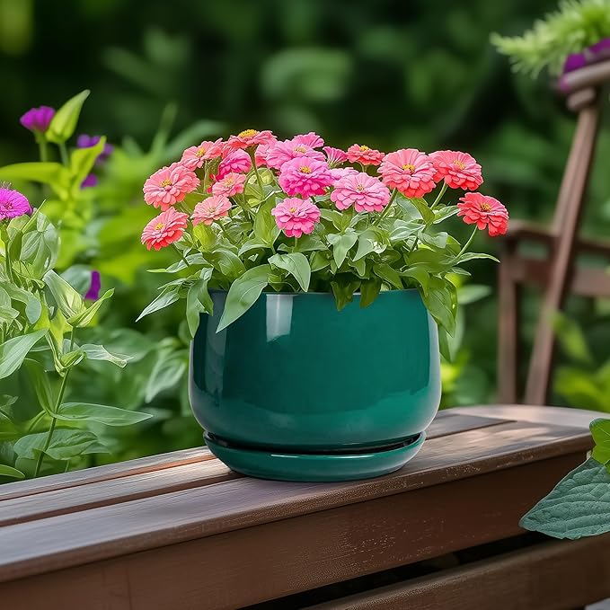 G EPGardening 6 Inch Plant Pot - Ceramic Planter for Indoor Plants, Round Planter with Drainage and Ceramic Tray, Flower Pots for Outdoor, Modern House Decor, Gift for Men Women, Green