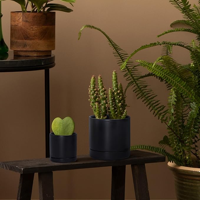 D'vine Dev 3.5 Inch & 4.7 Inch Ceramic Planter Pots for Plants with Drainage Hole and Saucer, X-Small Plant Pots Set, Black, 94-G-XS-2