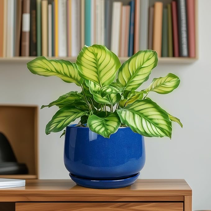 G EPGardening 6 Inch Plant Pot - Round Ceramic Planter Indoor with Drainage and Ceramic Saucer for Flower, Modern Desk Decor, Modern Garden Gift, Blue