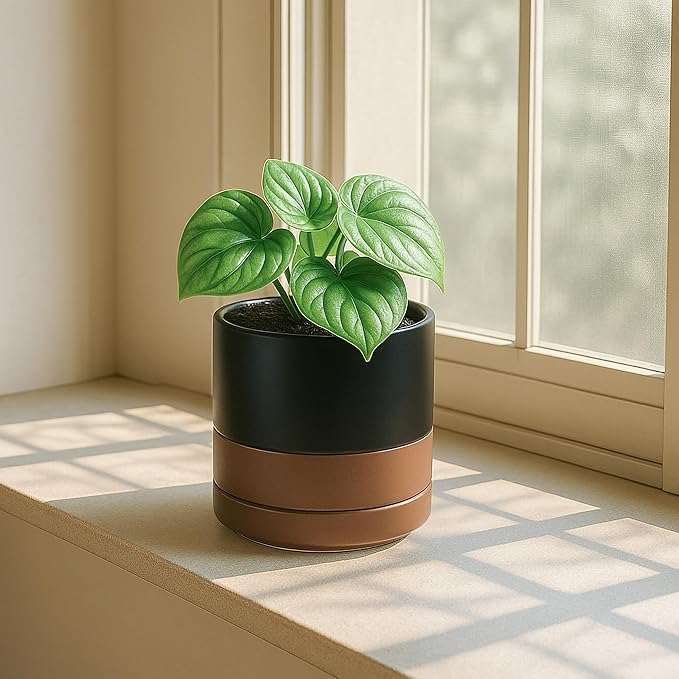 D'vine Dev 4.7 Inch & 6.5 Inch Ceramic Planter Pots for Plants with Drainage Hole and Saucer, Small Plant Pots Set, Black/Speckled Tan, 94-G-S-7