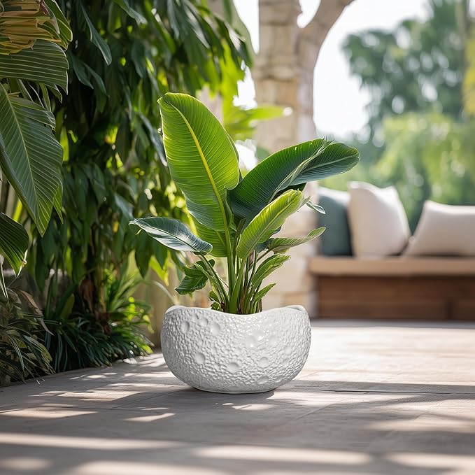 Large Bonsai Pots - 13 Inch Ceramic Planter for Indoor Outdoor, Round Plant Pot, Decorative Flower Pots with Drainage Hole, Modern Unique Planters, Garden Decor Home, Garden Gifts, White