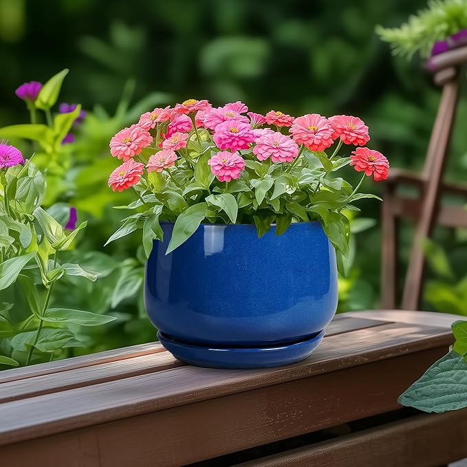 G EPGardening 6 Inch Plant Pot - Round Ceramic Planter Indoor with Drainage and Ceramic Saucer for Flower, Modern Desk Decor, Modern Garden Gift, Blue