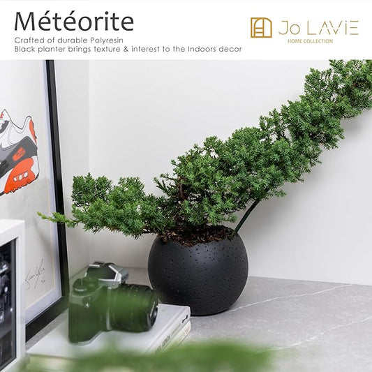 6 Inch Modern Minimalist Resin Planters with Drainage Hole, Charcoal Gray Indoor Outdoor Flower Pots for Succulents, Herbs, Orchids & Small Plants - Charcoal Gray