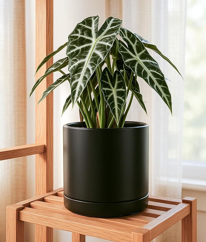 D'vine Dev 8.2 Inch & 10 Inch Ceramic Planter Pot for Plants with Drainage Hole and Saucer, Large Plant Pots Set, Black, 94-G-L-2