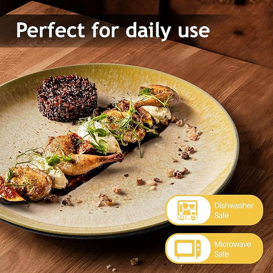 MIAMIO β Set of 6, Dinner Plates, Ceramic Plates, Kitchen plates, Plate Sets β Microwave Safe Plates, Oven and Dishwasher Safe β Las Palmitas Collection