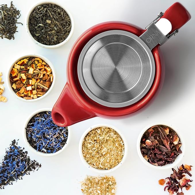 ORNA Ceramic Teapot with Tea Infuser – Small Tea Pot for Loose Leaf Tea – 550ml / 18.6 Oz Non-Stove Porcelain Teapot for 2 Cups with Tea Strainer (Red)