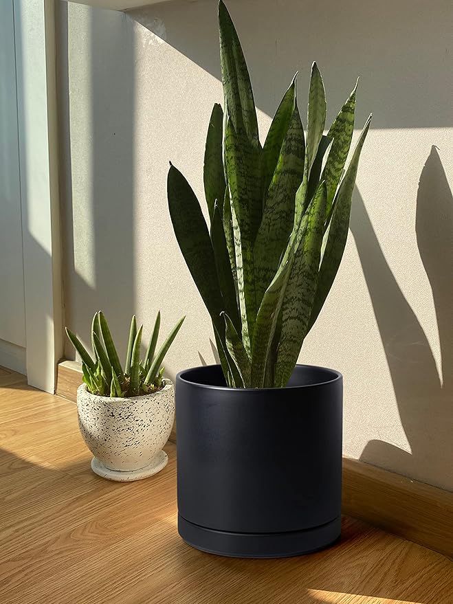 D'vine Dev 12 Inch Ceramic Planter Pot with Drainage Hole and Saucer, Indoor Cylinder Round Planter Pot, Black, 94-O-F-2