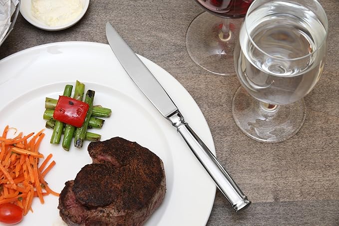 Fortessa Bistro 18/10 Stainless Steel Flatware Solid Handle Steak Knife, Set of 12, Silver