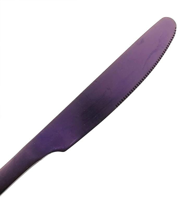 20-Piece Stainless Steel Flatware Set, Matte Finish Colorful Purple, Service for 4