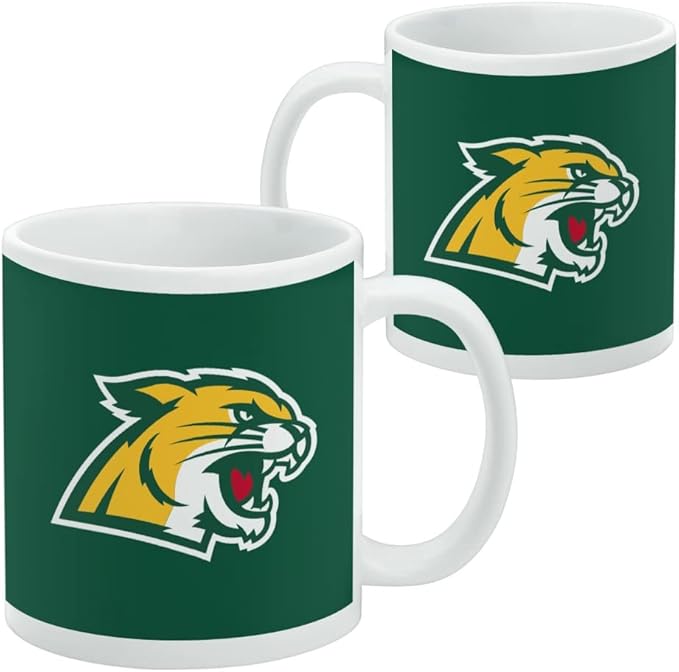 Northern Michigan Primary Logo Ceramic Coffee Mug, Novelty Gift Mugs for Coffee, Tea and Hot Drinks, 11oz, White