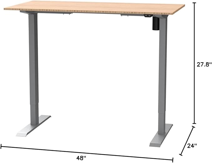 FLEXISPOT EN1 Bamboo Standing Desk, 48 x 24 Inches One-Piece Electric Height Adjustable Desk (Silver Frame + Bamboo Top, 2 Packages)