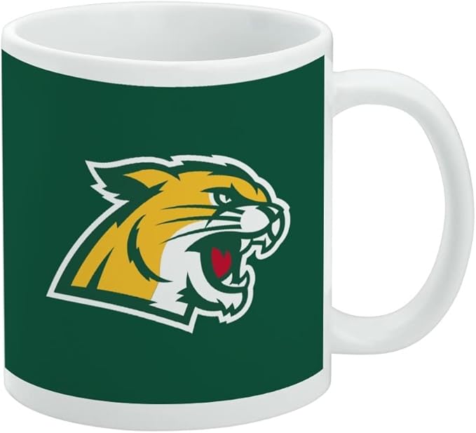 Northern Michigan Primary Logo Ceramic Coffee Mug, Novelty Gift Mugs for Coffee, Tea and Hot Drinks, 11oz, White