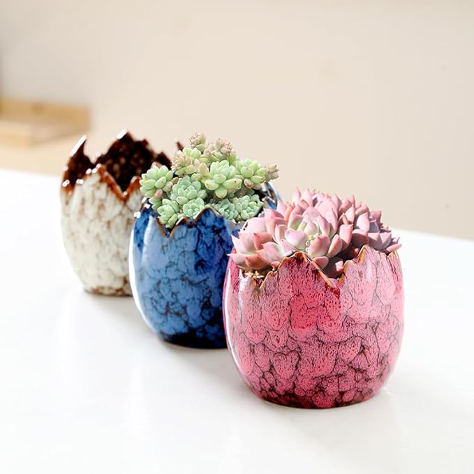 YYW Succulent Planter Pots Indoor Ceramic Decoration Cactus Small Flower Plant Pot with Tree Tier Bamboo Stand for Garden Kitchen Home Office Decor Plant Lovers Gifts 3Pcs