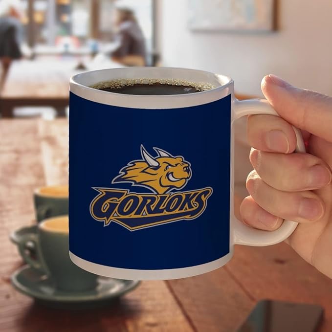 Webster University Primary Logo Ceramic Coffee Mug, Novelty Gift Mugs for Coffee, Tea and Hot Drinks, 11oz, White
