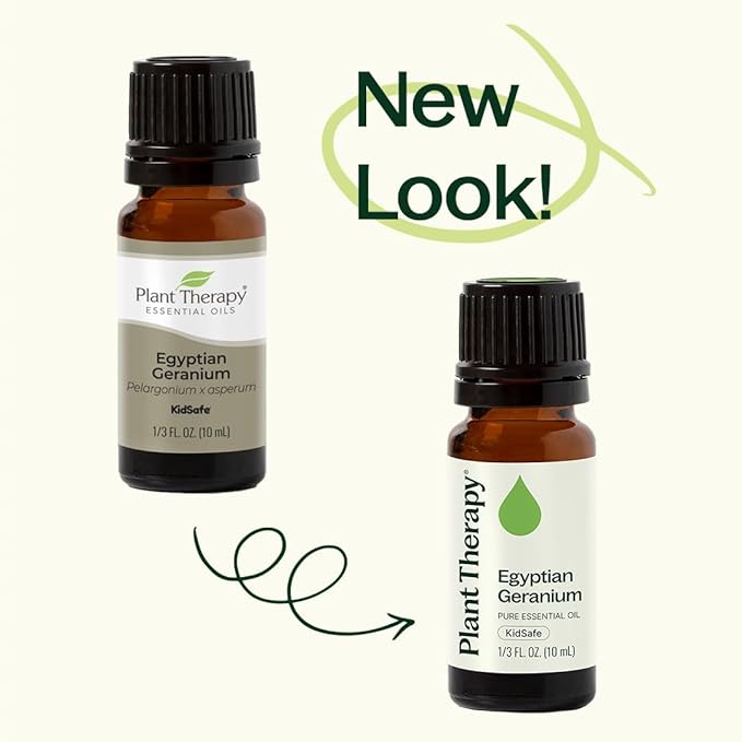 Plant Therapy Egyptian Geranium Essential Oil 100% Pure, Undiluted, Natural Aromatherapy, Therapeutic Grade 30 mL (1 oz)