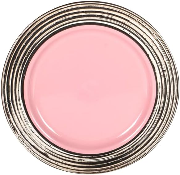 16 Piece Dinnerware Set, Ceramic Plates and Bowls Sets for 4, Microwave and Dishwasher Safe, Handcrafted Tree Bark Series Dish Set, Rose/Pink