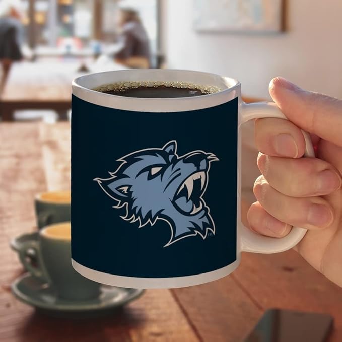 Baruch College Primary Logo Ceramic Coffee Mug, Novelty Gift Mugs for Coffee, Tea and Hot Drinks, 11oz, White