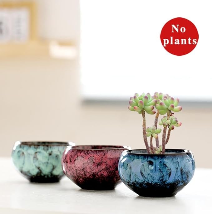YYW Succulent Pots with Drainage Ceramic Plant Pot Indoor Small Flower Cactus Pots with Tree Tier Bamboo Stand Shallow Planter for Garden Windows Home Office Decor Plant Lovers Gifts