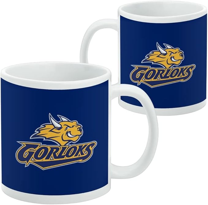 Webster University Primary Logo Ceramic Coffee Mug, Novelty Gift Mugs for Coffee, Tea and Hot Drinks, 11oz, White